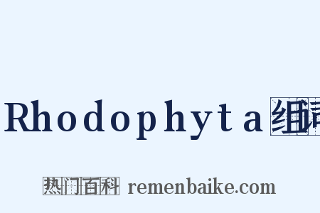 Rhodophyta组词是什么意思的图片